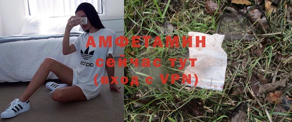 гидра Наволоки