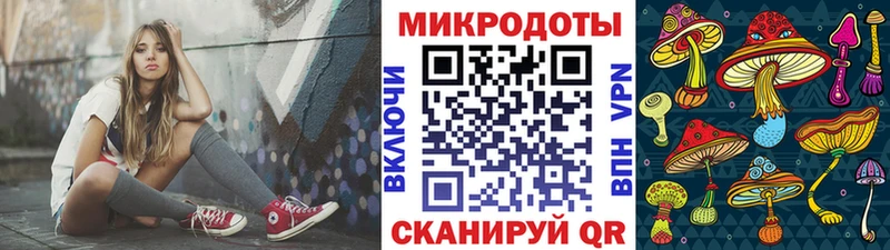 блэк спрут ССЫЛКА Тольятти Псилоцибиновые грибы Psilocybe