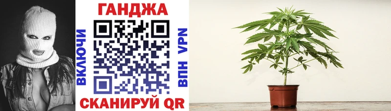 Бошки марихуана THC 21%  hydra ССЫЛКА  Тольятти  что такое  